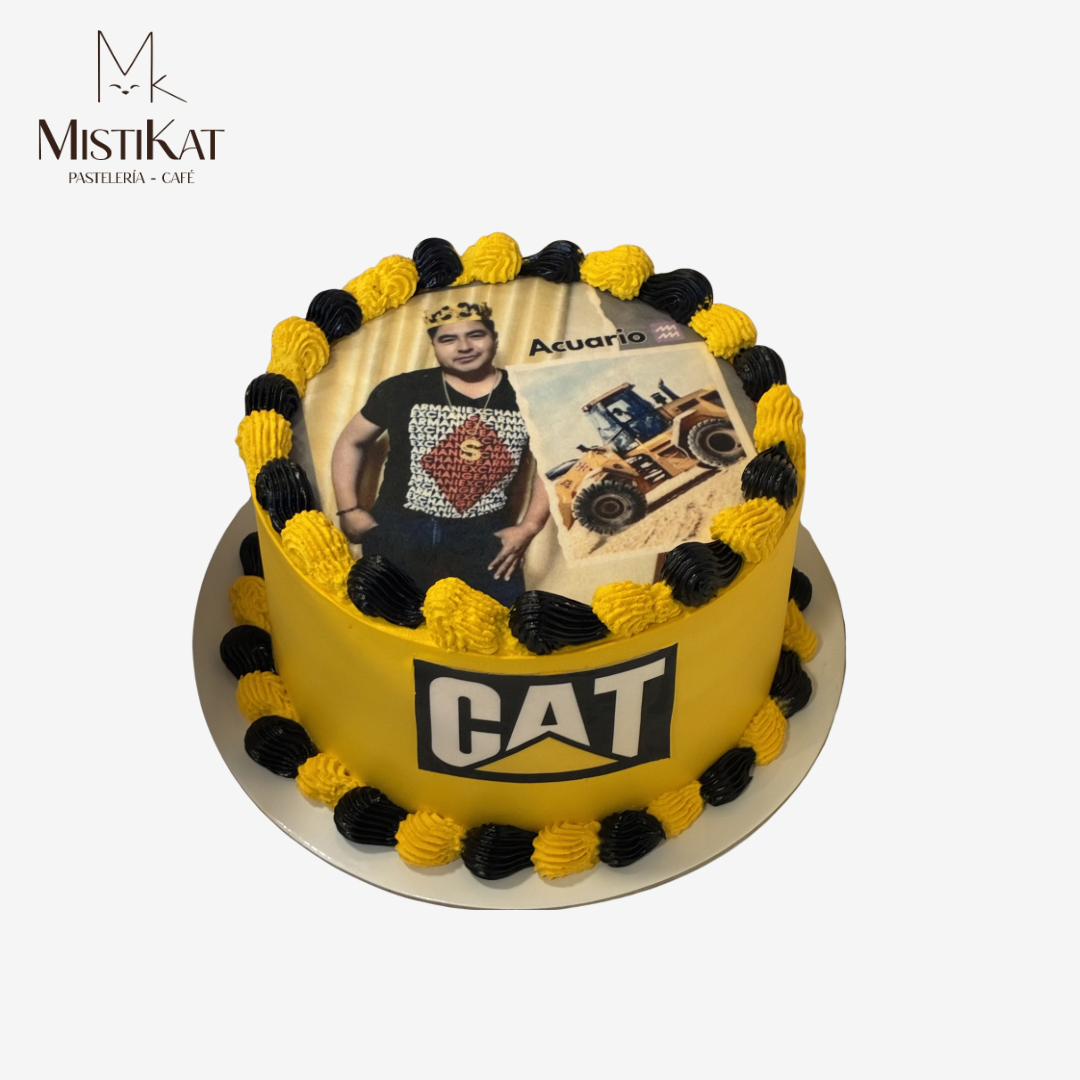 torta tematica cat con foto comestible mistikat tacna